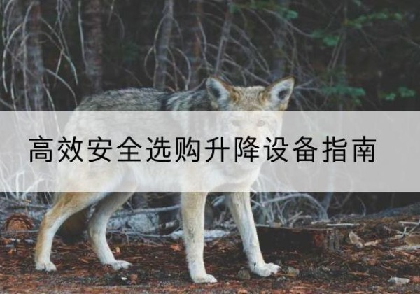宝鸡升降货梯厂家推荐-*安全选购升降设备指南