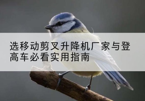 宝鸡电动升降机厂家-选移动剪叉升降机厂家与登高车必看实用指南